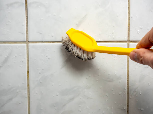 Best Toxic Mold Removal  in Great Bend, KS