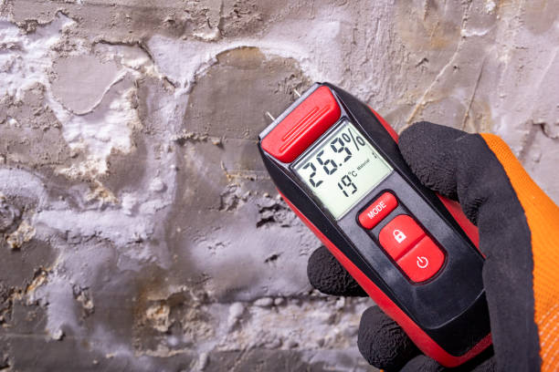 Mold Testing and Removal in Great Bend, KS