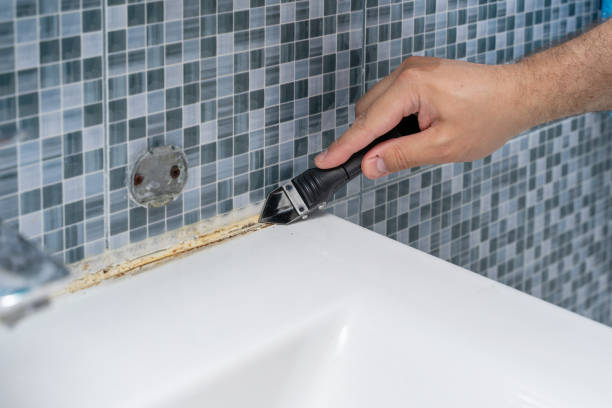 Best Fast Mold Removal  in Great Bend, KS