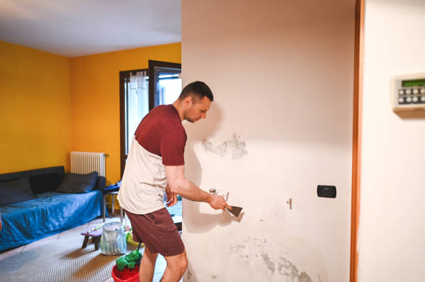 Best Certified Mold Removal  in Great Bend, KS